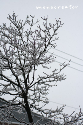 雪のバレンタインデー